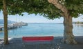 Lake shore Zurichsee with red bench under plane trees, landing stage Rapperswil, switzerland