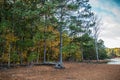 Lake shoreline in autumn Royalty Free Stock Photo