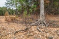 Lake shoreline in drought conditions Royalty Free Stock Photo