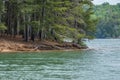 Lake shoreline erosion Royalty Free Stock Photo