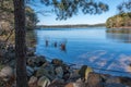 Lake shoreline in a park Royalty Free Stock Photo