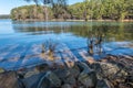 Lake shoreline in a park Royalty Free Stock Photo