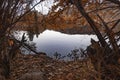 Lake shoreline reflecting strong orange autumn colors Royalty Free Stock Photo