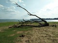 kala wewa lake side in srilanka