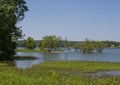 Lake side in summer