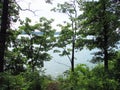 Lake side trail in Missouri