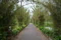 Lake side walk Royalty Free Stock Photo