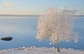 Lake Siljan in RÃÂ¤ttvik, Sweden Royalty Free Stock Photo