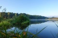 Lake with a smooth surface and reeds reflected in the water