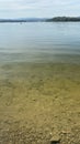 Lake Solinskie visible green water and floating fish large carp