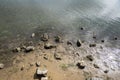 Lake with some sand, stones and mud Royalty Free Stock Photo