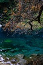 The lake in songpinggou scenic spot Ã¢â¬â autumn Dead branches, red leaves, green water