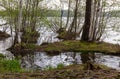 Lake. Spring flood. The forest is flooded with water. Royalty Free Stock Photo