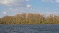 Lake and spring forest in Damvallei