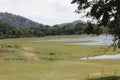 Lake in sri lanka. ...