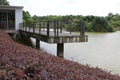 Lake Stand View