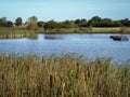 Lake in Staveley Nature Reserve, North Yorkshire, England