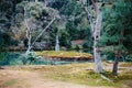 Lake and stone pagoda at Kinkakuji temple in Kyoto, Japan Royalty Free Stock Photo