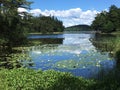 Lake in Sweden Royalty Free Stock Photo