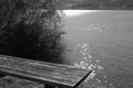 Lake with sun reflections and bench on the shore in black and white Royalty Free Stock Photo