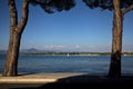 Lake on a sunny day with boats on it framed by trees Royalty Free Stock Photo