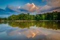 Lake at sunset, at Park Road Park, in Charlotte, North Carolina. Royalty Free Stock Photo
