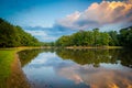 Lake at sunset, at Park Road Park, in Charlotte, North Carolina. Royalty Free Stock Photo