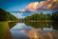 Lake at sunset, at Park Road Park, in Charlotte, North Carolina. Royalty Free Stock Photo