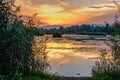 Lake after sunset with water grass in the foreground. Beautiful colorful sky. Dubnica, Slovakia Royalty Free Stock Photo