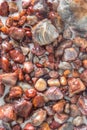 Lake Superior Agates are the State Gem of Minnesota Royalty Free Stock Photo