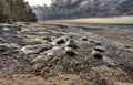 Lake Superior Northern Michigan