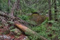 Lake Superior Provincial Park is on the Shore of the Lake in Northern Ontario, Canada Royalty Free Stock Photo