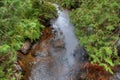 Lake Superior Provincial Park is on the Shore of the Lake in Northern Ontario, Canada Royalty Free Stock Photo