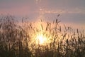 Lake surface with reflected sunset