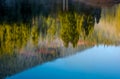 Lake surface reflecting spruce forest on hillside Royalty Free Stock Photo