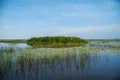 Lake Surface with Water Lily Flowers. Thale Noi Waterfowl Reserve Lake, Thailand Royalty Free Stock Photo