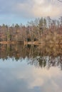 Lake surrounded by bare trees with reflection in the water surface in the Dutch nature reserve Royalty Free Stock Photo