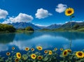 A lake surrounded by beautiful sunflowers with beautiful mountains in view Royalty Free Stock Photo