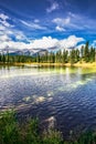The lake is surrounded by firs Royalty Free Stock Photo