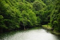 Lake surrounded by forest Royalty Free Stock Photo