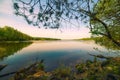 Lake surrounded by forest. frame bordered by pine branch. Royalty Free Stock Photo