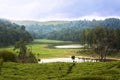 Lake surrounded by tea plantation in Bandung Royalty Free Stock Photo