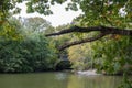 Lake surrounded by trees with bridge in the background in Central Park Royalty Free Stock Photo