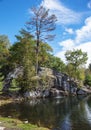 The lake surrounded by trees and firs