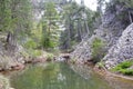 Lake surrounded of trees like a paradise