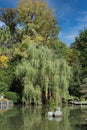 A lake surrounded by a variety of trees, plants, and a wood bridge in the fall in Rockford, Illinois Royalty Free Stock Photo