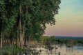 Lake surrounded by windmills and greenery with the grass reflecting on the water during sunset Royalty Free Stock Photo