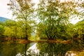Lake Surrounded By Woodland Royalty Free Stock Photo