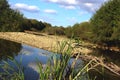 Lake, swamp, clouds