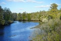 Lake and swamp Royalty Free Stock Photo